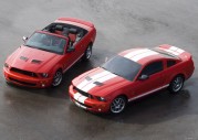 Shelby Cobra GT500 Show Car